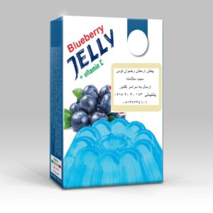 تولید پودر ژله بلوبری با بالاترین کیفیت در اسانس پودری بلوبری و ژلاتین خوراکی