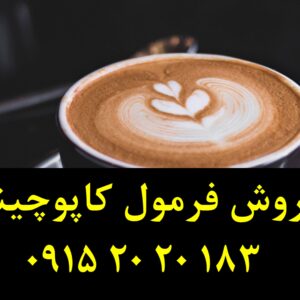 فروش فرمولاسیون کاپوچینو فوری با قابلیت شخصی‌سازی طعم و کف